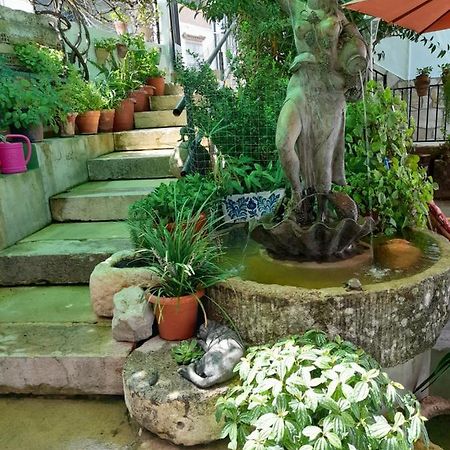 Casa Paco Guest House El Bosque Luaran gambar