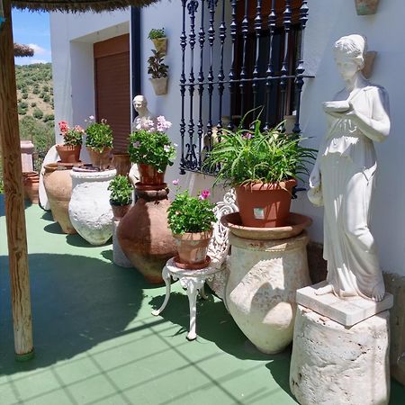 Casa Paco Guest House El Bosque Luaran gambar